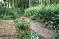 Hopfenbach_bei_Lauterbach