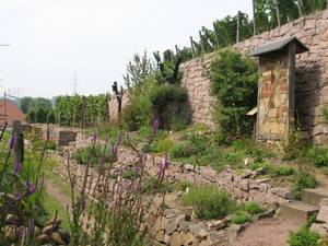 Naturlehrgarten am Haus des Gastes