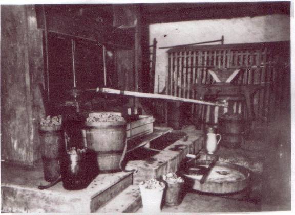 Weinpresse von der Seite