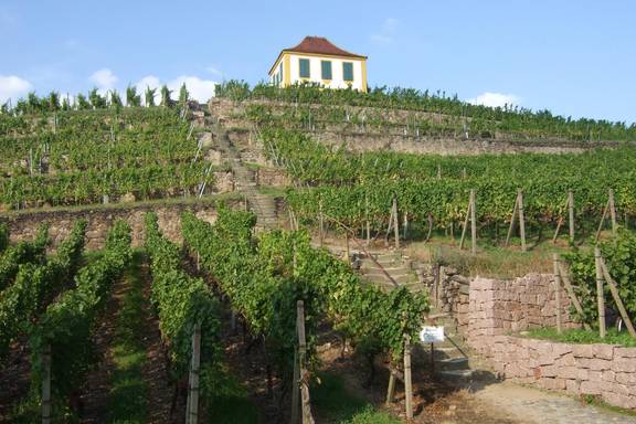 Aufgang im Schlossweinberg zur Luisenburg, Foto Angela Gruhl