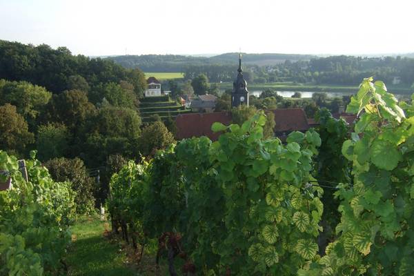 blick vom schlossweinberg zur heinrichsburg und ins elbtal