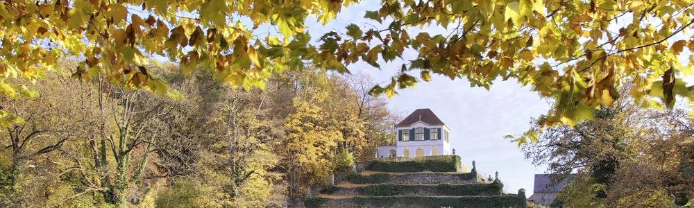 Blick auf die Heinrichsburg vom Park Seußlitz