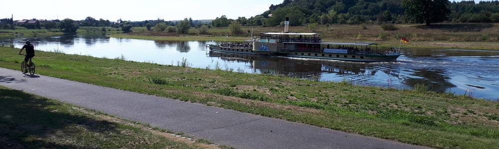 Elberadweg mit Dampfschiff am Elbebogen in Diesbar