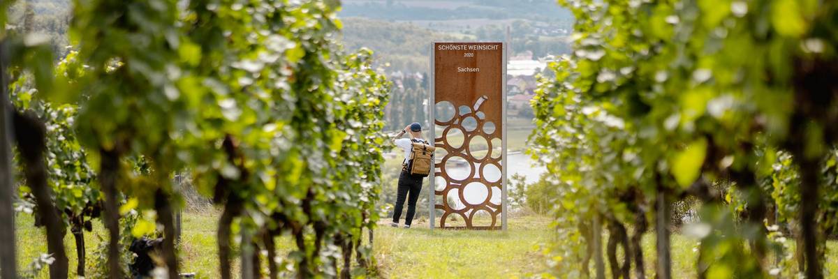 Blick auf die Stele Schönste Weinsicht 2020 Sachsen