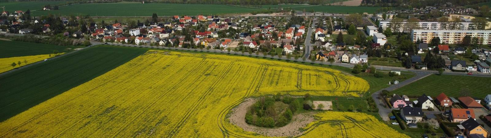 nünchritz frühling01