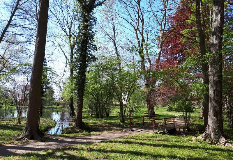 Teich im Schlosspark Seußlitz